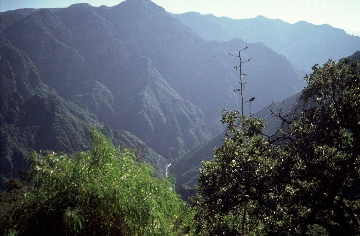 Batopilas Canyon