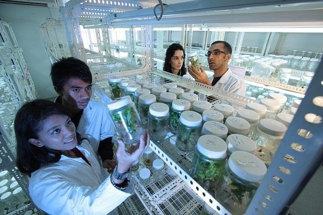 Biotechnology in Mexico.