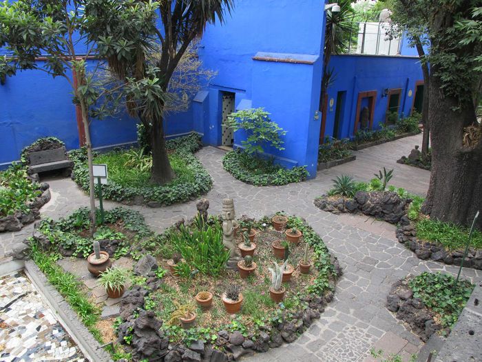 Jardín de la Casa Azul. Foto: Cortesía del Museo Frida Kahlo.