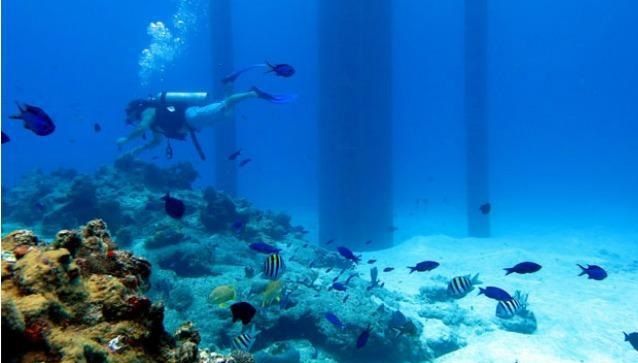 Paradise reef in Cozumel.
