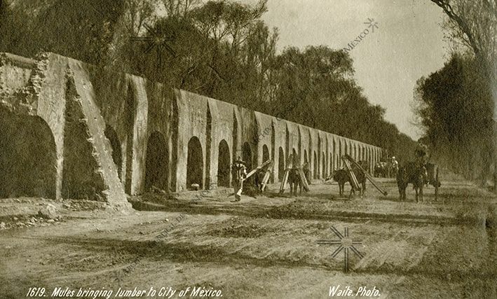 Mules loaded with timber next to an aqueduct on their way to Mexico City (1905).