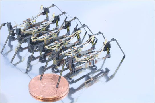 An impressive photo of a centipede millirobot.
