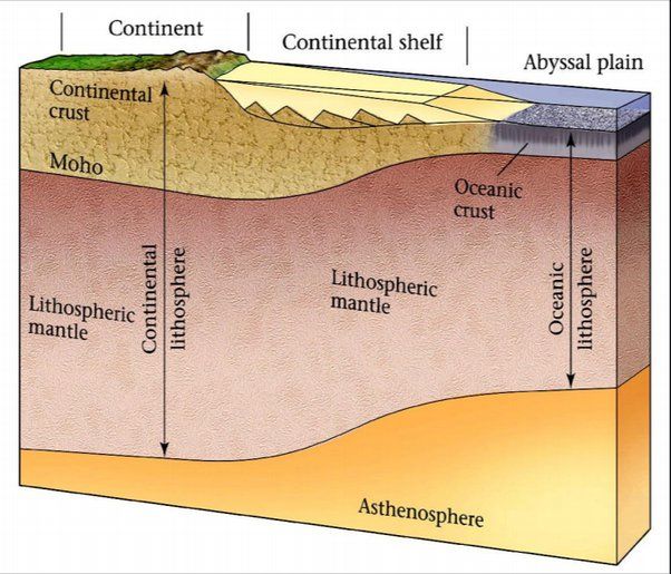 A comparative profile of the thickness of the continental and oceanic crust concerning the mantle.