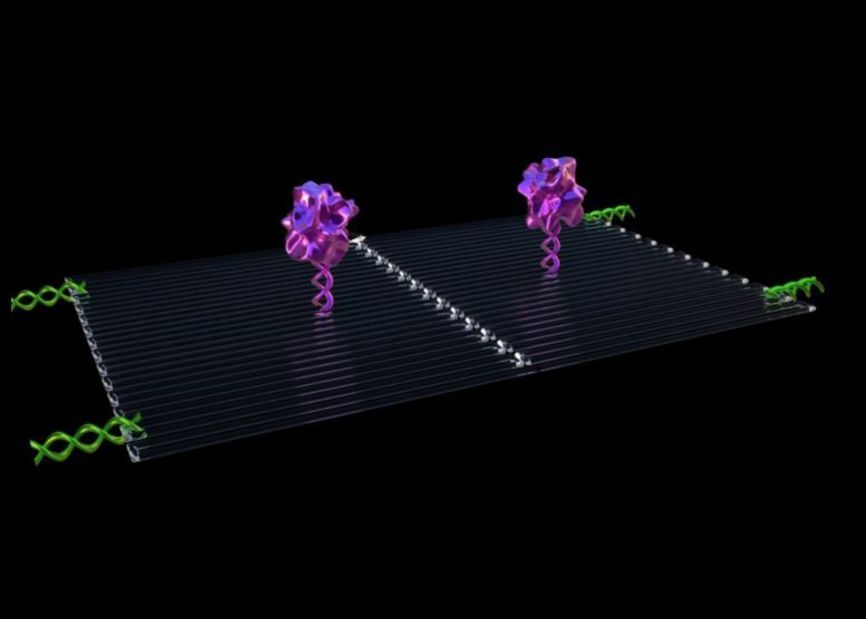 These fully autonomous nanobots are programmed to find tumors and strangle them.