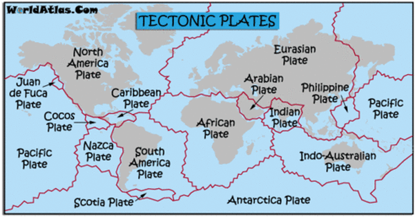 Plates tectonic plates into which the crust is divided.