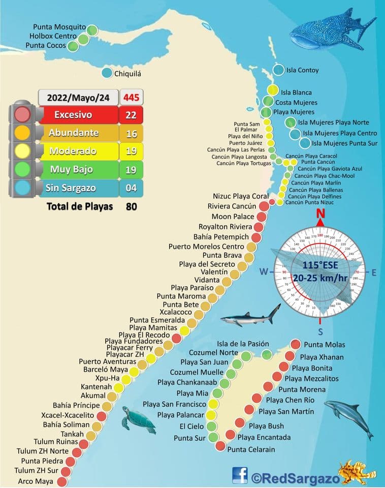 Cancun Seaweed Map and Color Chart. Updated on May 24, 2022.