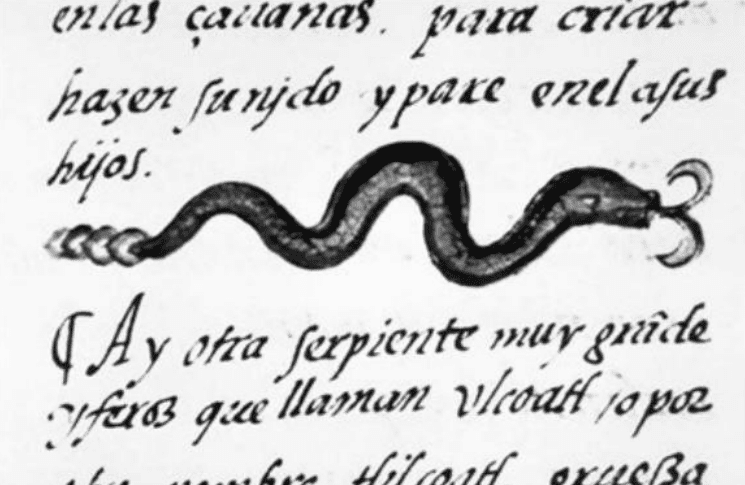 Serpent (coatl) in Nahuatl