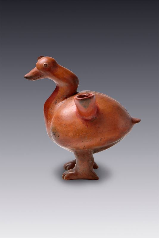 Representation of a duck, from Colima, Tumbas de Tiro culture.