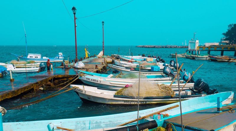 Colorful fishing boats lining the shores of Veracruz, ready for the day's catch.