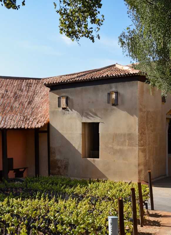 Rich historic haciendas, where winemaking traditions span over decades.