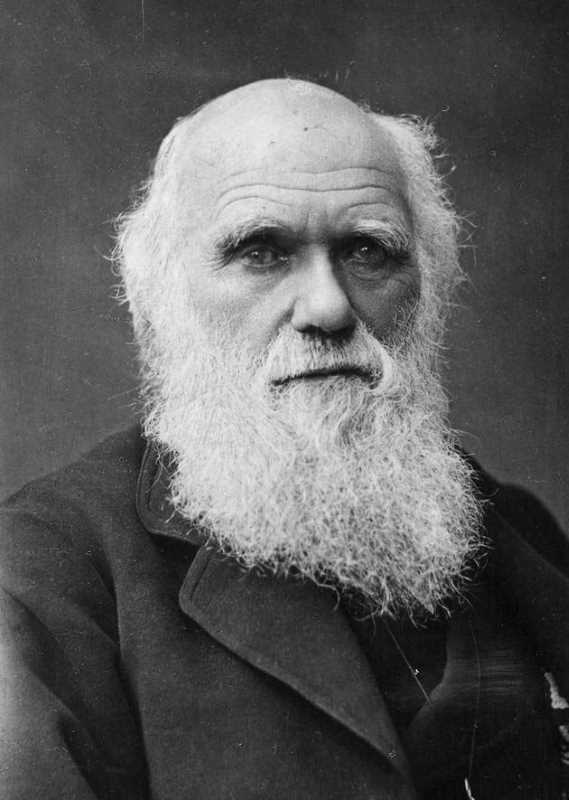 Charles Darwin, the pioneer of evolutionary theory, whose careful insinuations about human origins ignited a still-burning debate.