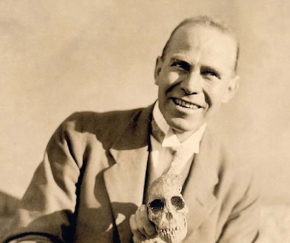 Dr. Raymond Dart carefully holding the skull of the Taung Child.