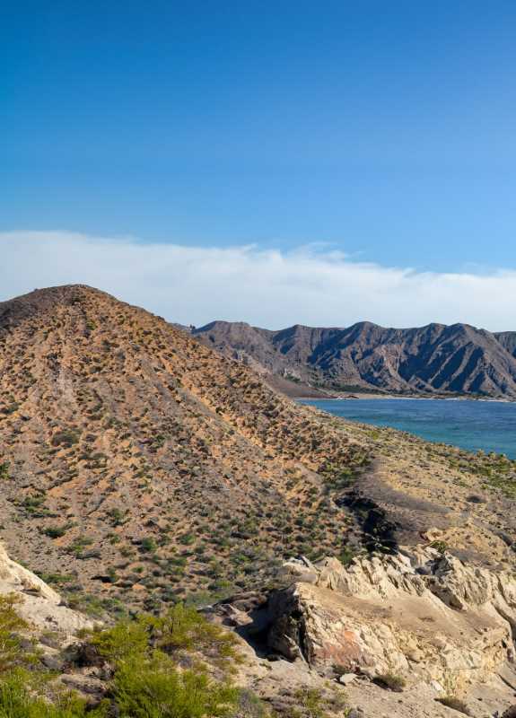 The rugged landscape of the Baja California Peninsula.