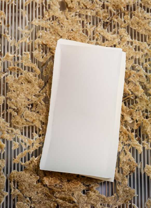Sheets of the groundbreaking paper made from 80% sargassum, a sustainable marvel.