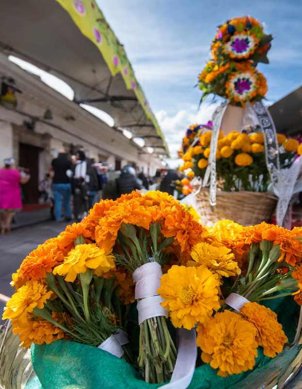 Marigold bouquets at a bustling market, a key element in Mexico's enchanting Day of the Dead celebrations.