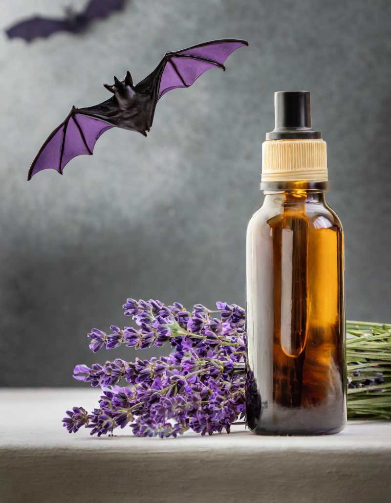 Close-up of a DIY essential oil spray bottle with citronella and lavender, with a bat flying in the background.