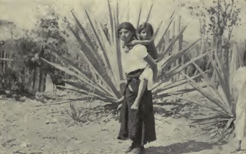 Slave mother and child; also henequen plant. Copyright 1910 By Charles H. Kerr & Company