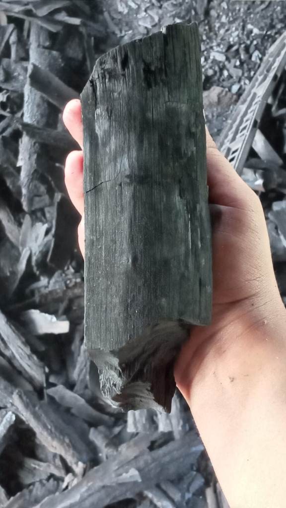 Mangrove charcoal: a sustainable alternative for communities
