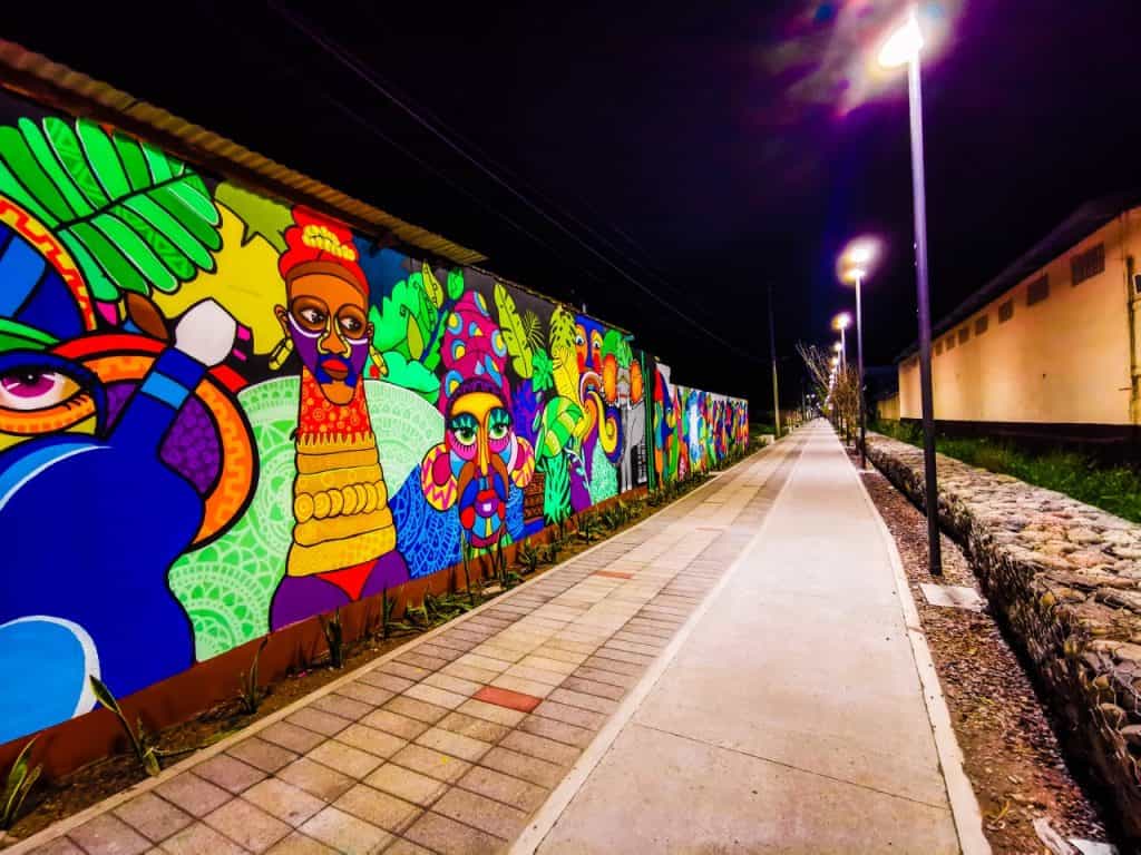 What is the function of community murals?