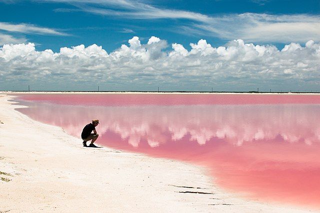 How to get from Playa del Carmen to Las Coloradas