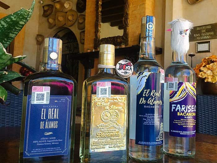 Bacanora: everything you need to know about the drink from Sonora