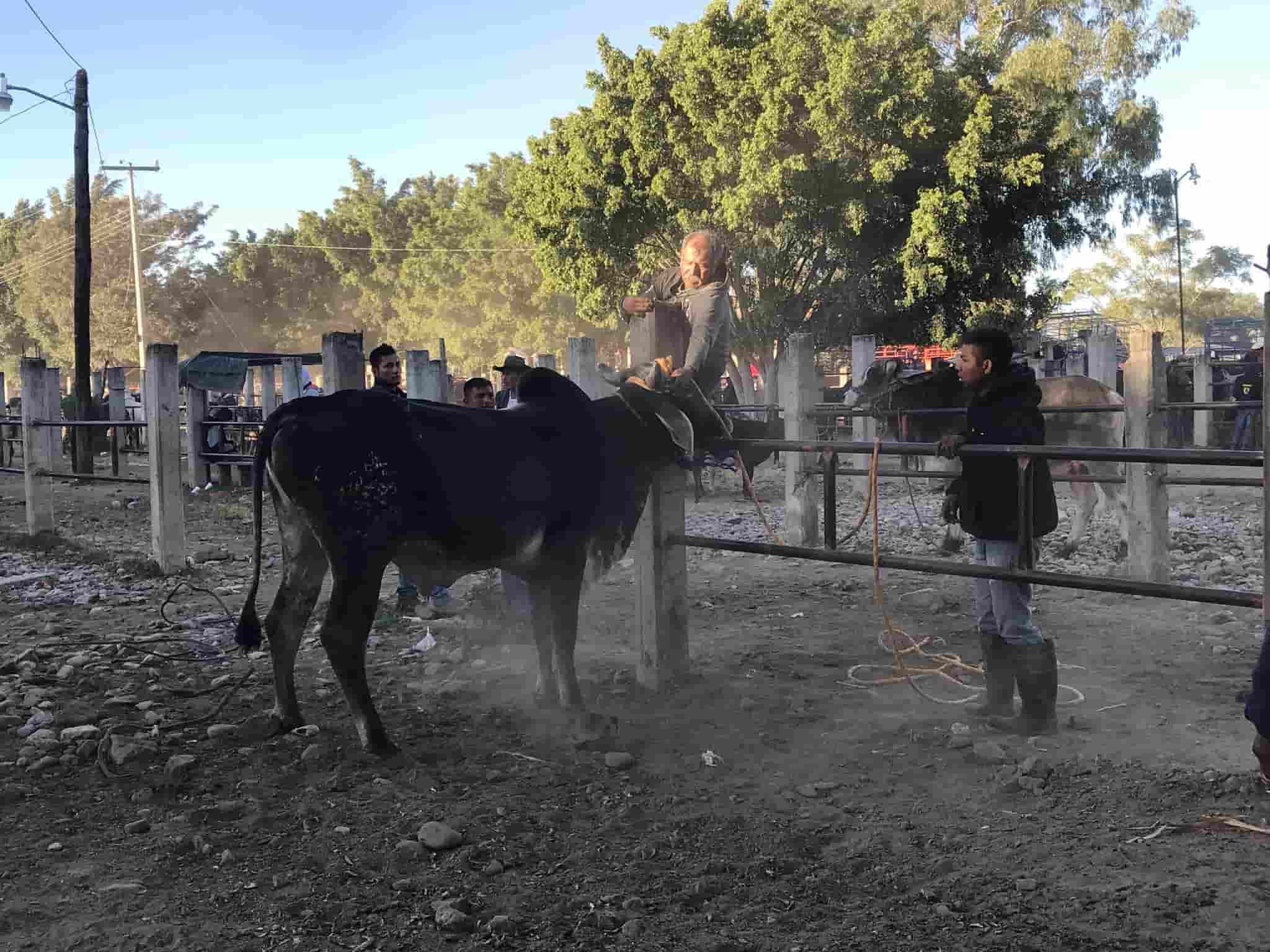El Baratillo, a commercial tradition in Oaxaca