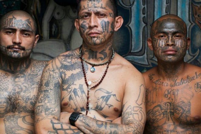 The story of Mara Salvatrucha, the fearsome gang that was born in the U.S.