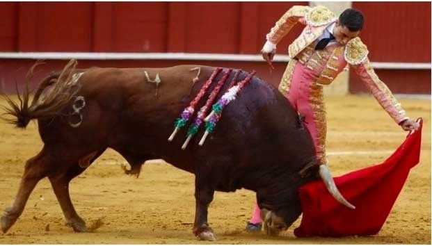 Court confirms suspension of bullfights in Plaza Mexico City