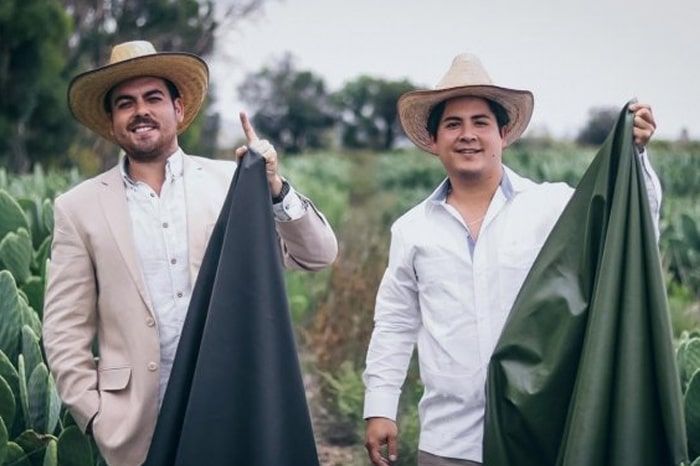 Mexicans create cactus leather material that triumphs in the world