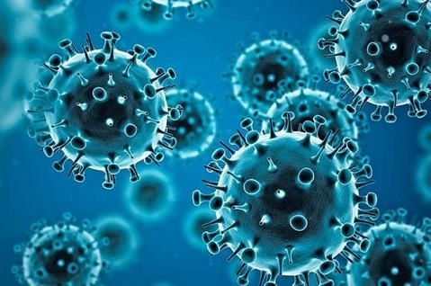 Chihuahua state COVID-19 technical report on the coronavirus pandemic