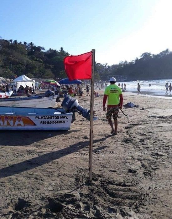 Beach closed after sea snake attacks in Nayarit. Six tourists bitten