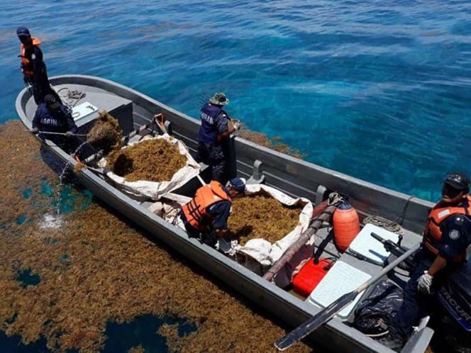 Navy sargassum boats have an efficiency of 20%, reveals engineer