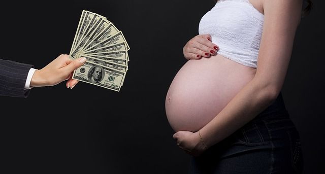 Surrogacy generates millions in profits