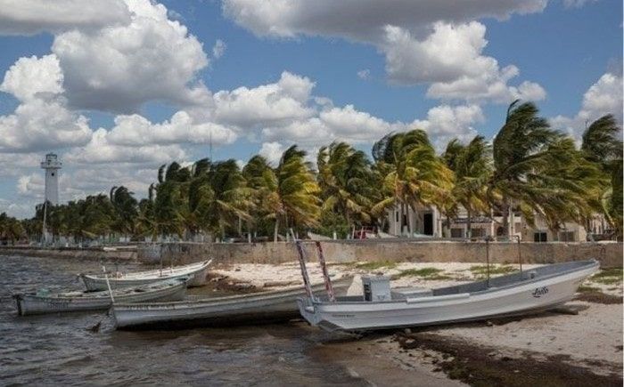 Sargassum invades the beaches of Progreso, Yucatan in 2022