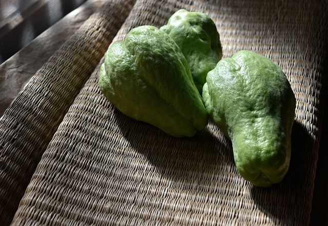 Chayote: a thousand-year-old and highly nutritious plant