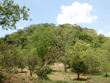 The sacred hill El Manatí: The house of the water god near the sky