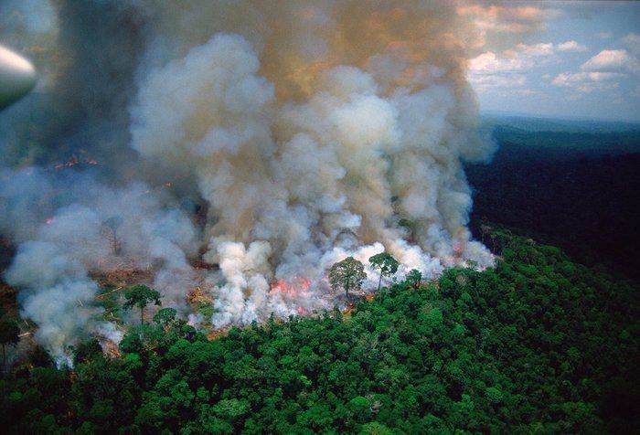Amazon: carbon emission almost doubles absorption