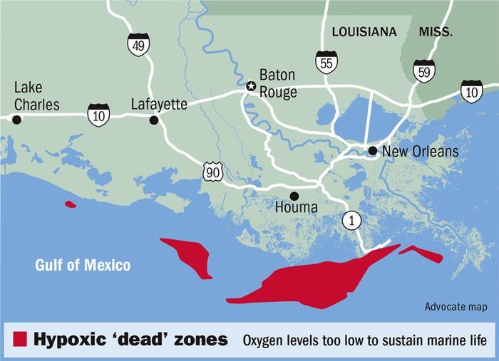 La zona muerta de oxígeno del Golfo de México se acerca al tamaño récord