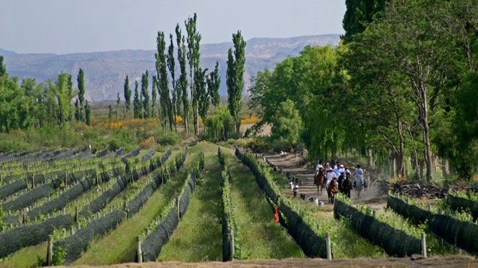 The best wine cellar restaurant in the world is in Mendoza