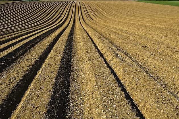 Everything you wanted to know about soils, the basis of the crops that sustain our civilization