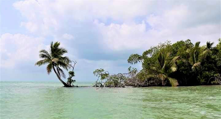 The Coastal Landscapes and Natural Heritage of Chetumal Bay