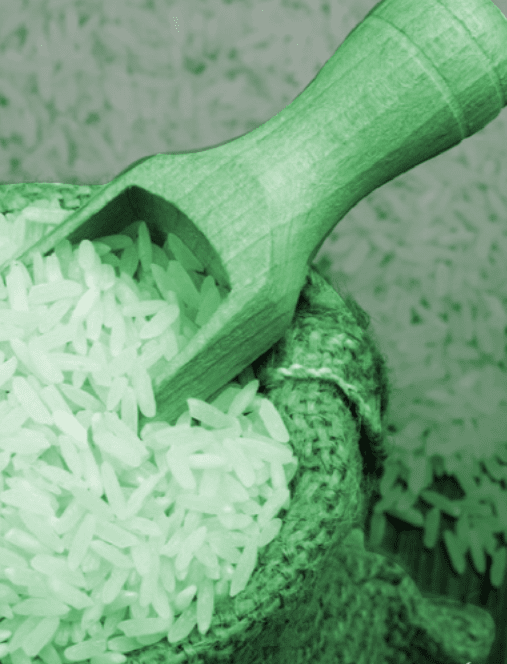 Recipe: Arroz verde (green rice) Aguascalientes style