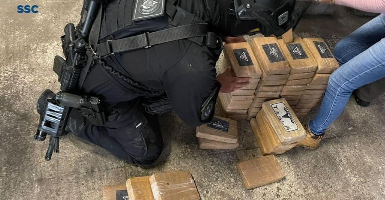 Why does the seized cocaine have Prada and Tesla logos?
