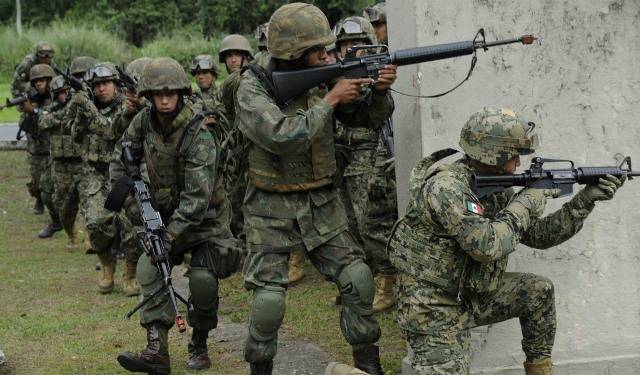 How are the National Guard and Mexican Army different?