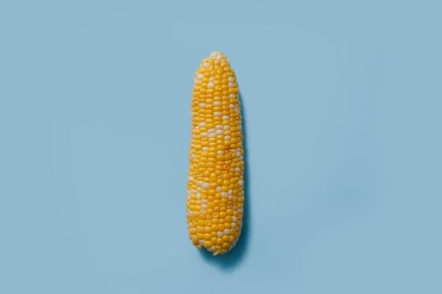A closer look at the US-Mexico GMO corn lawsuit