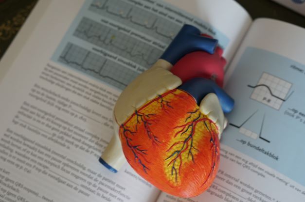 Take better care of your heart by learning how
