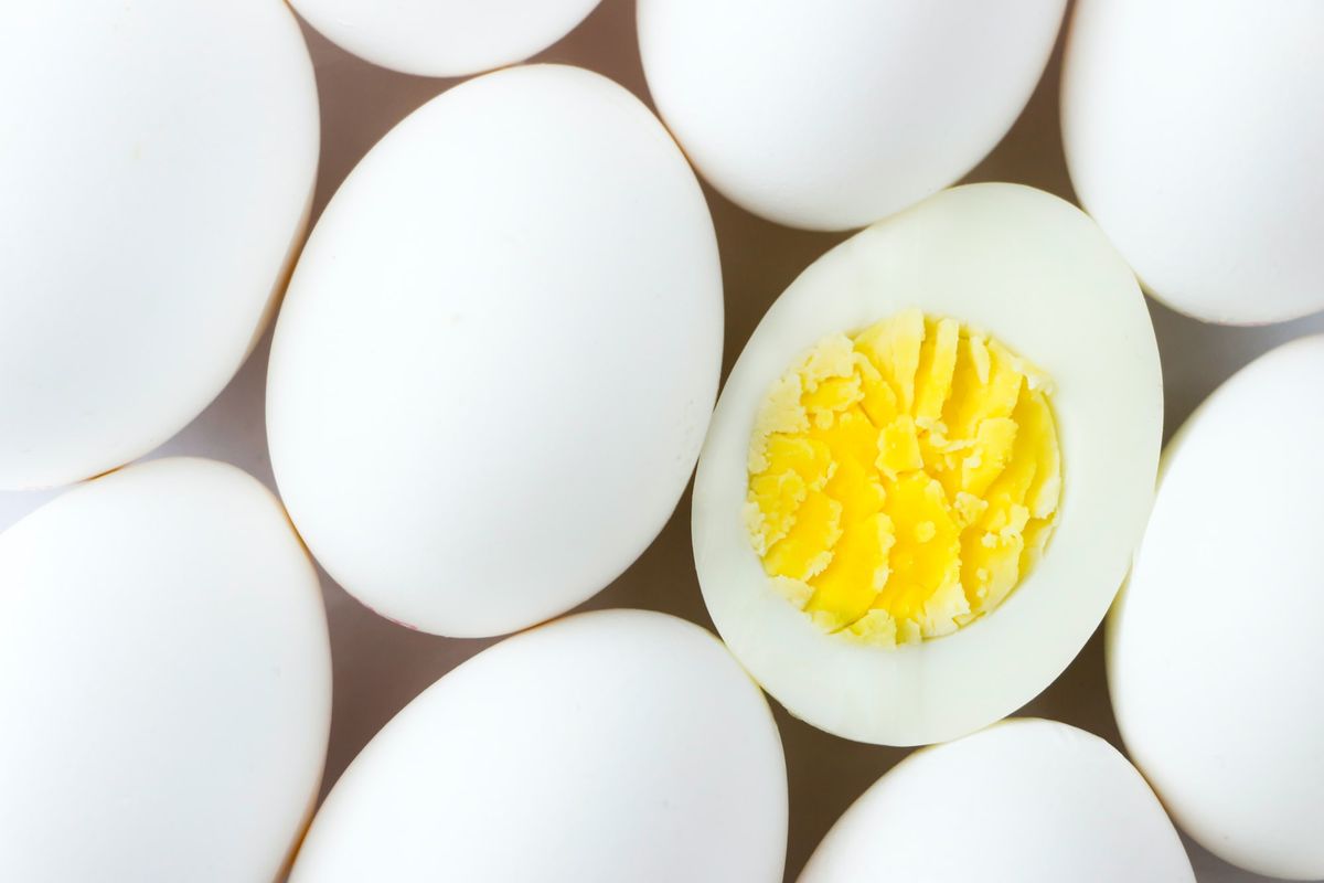What are the myths and benefits of egg consumption?