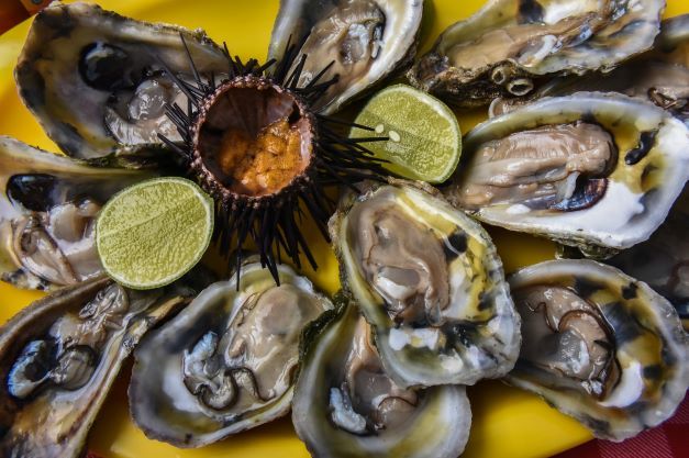 The most popular myths and tips on how to find fresh oysters