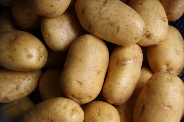 Why Europeans were frightened of potatoes for almost 400 years?