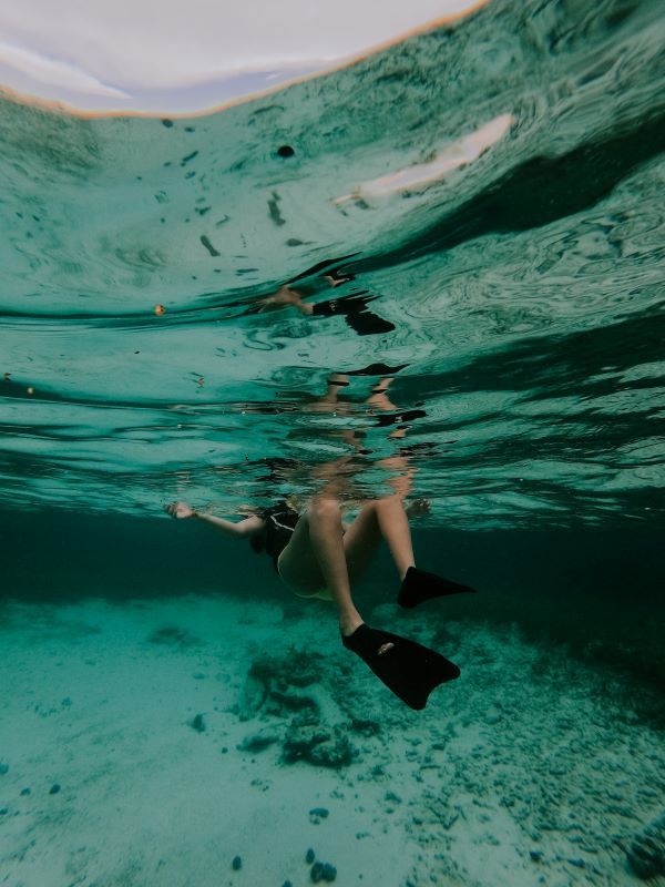 Dive into Paradise: Cancun's Underwater Wonderland